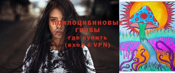 дмт Гусиноозёрск