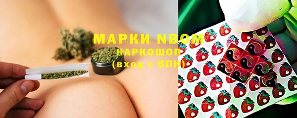 кокс Алексин