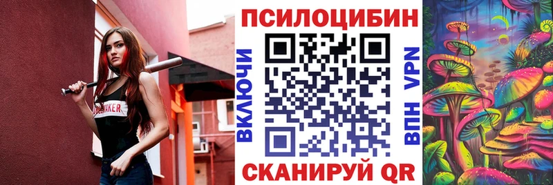 blacksprut рабочий сайт  Кувшиново  это клад  Псилоцибиновые грибы прущие грибы 